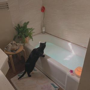 曰本女人视频69xxx
