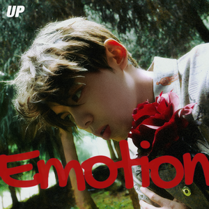 香蕉视频黄网站
